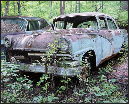Ford Fairlane (2021 - reworked 2024)
77 x 61 cm
oil on linen